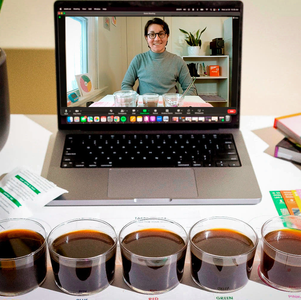 All Roasts Subscription - Crafted for a Brighter Brew