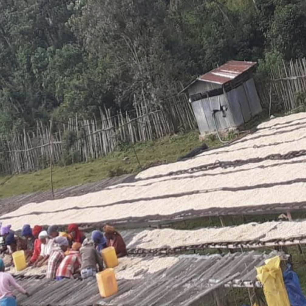 Ethiopia Metu - Crafted for a Brighter Brew