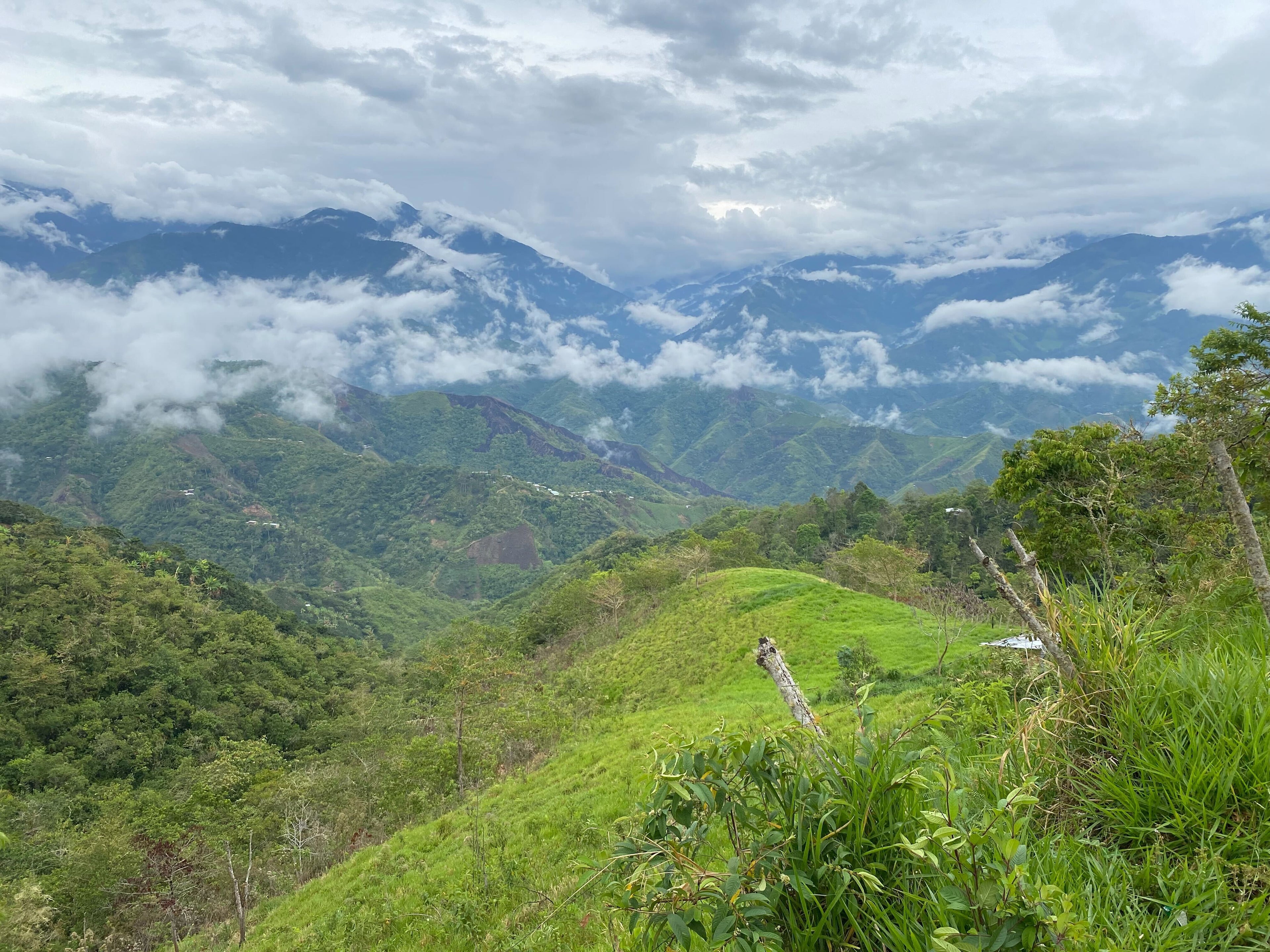 Peru Namballe - Crafted for a Brighter Brew