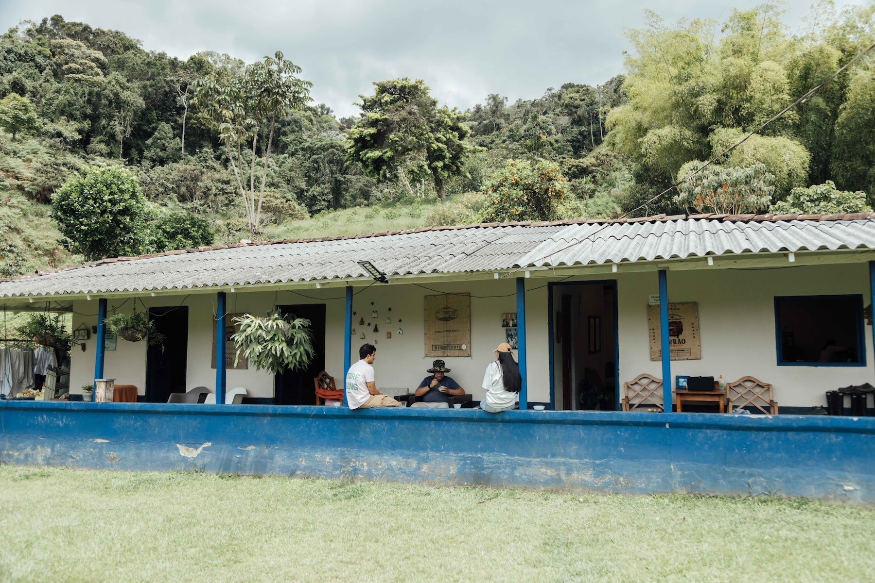 Colombia Hector Lopez Chiroso - Crafted for a Brighter Brew