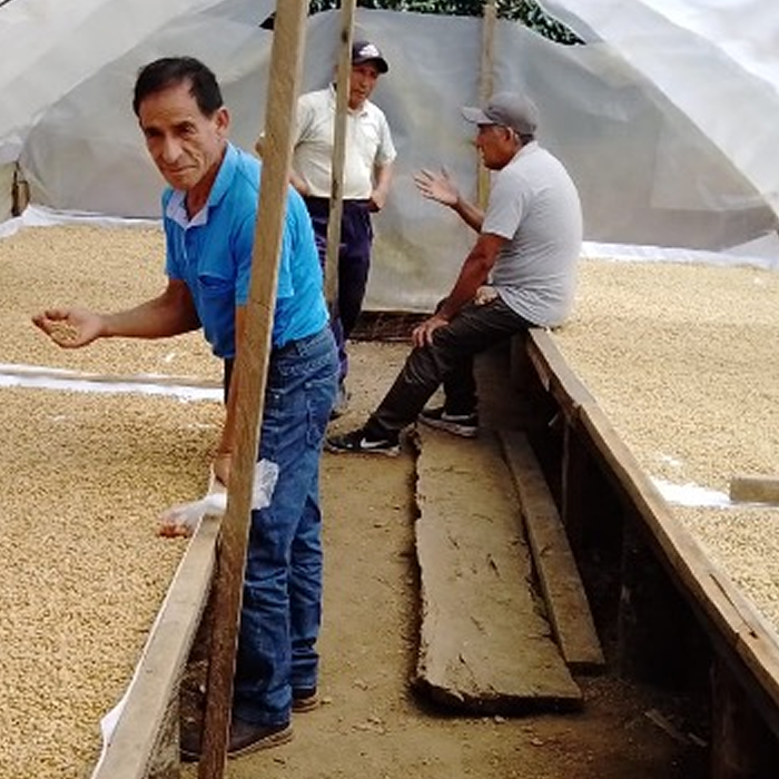 Peru Santa Teresa Sahuayaco - Cafe-Quality Flavor at Home